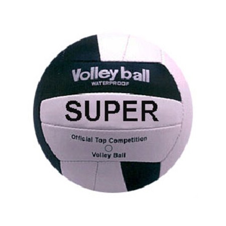 Volley Ball